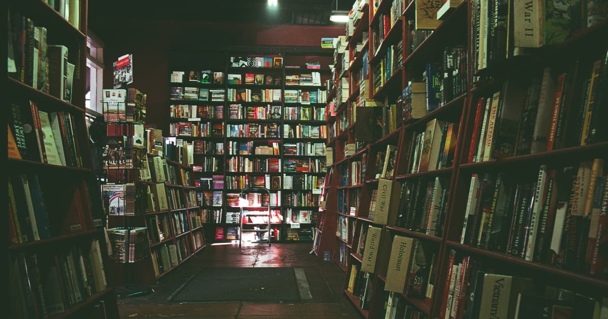 New Children's Book Uses Simple Choice to Teach Curiosity and Joy