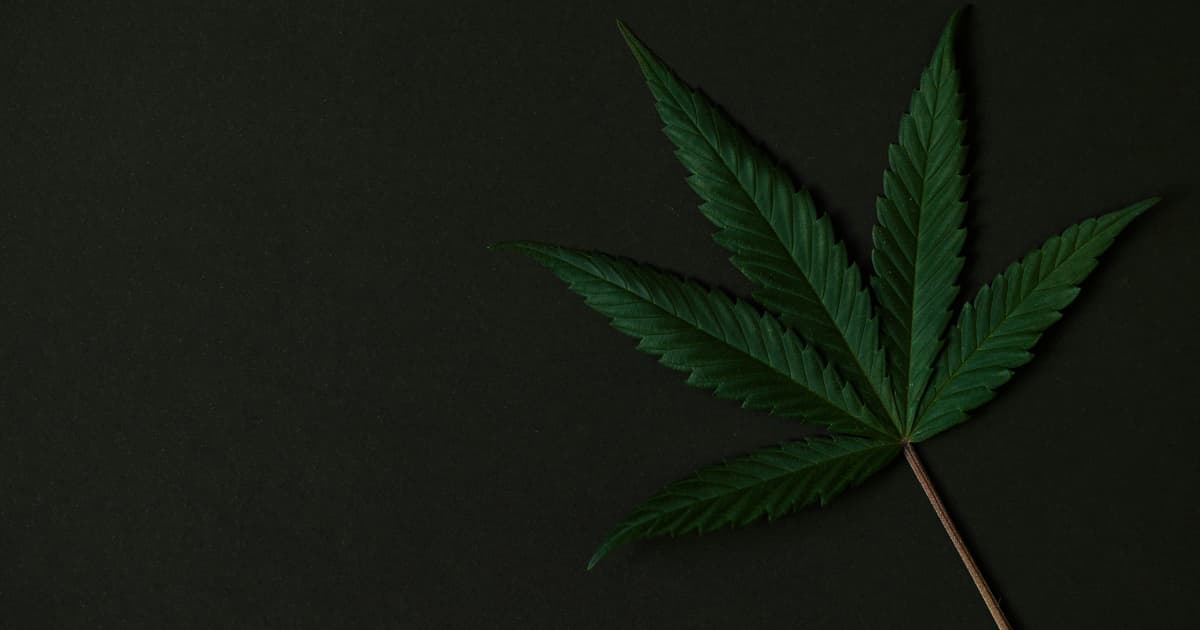 Virginia Senate Committee Advances Revised Cannabis Market Legislation