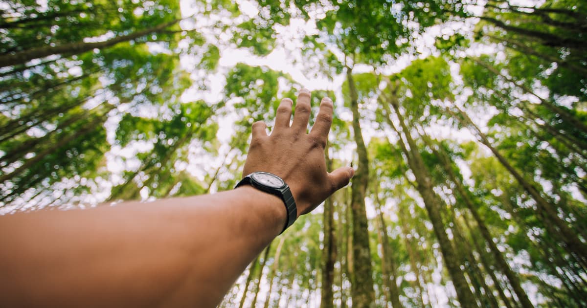 California Tortilla Launches July Fundraiser in Memory of Fan Ethan Schwartz